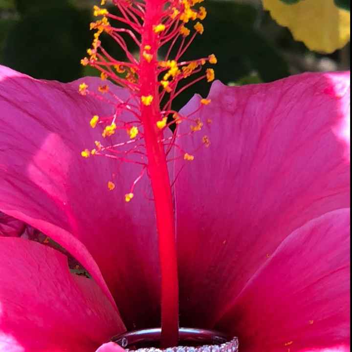 What’s your shape? 💎 - 1