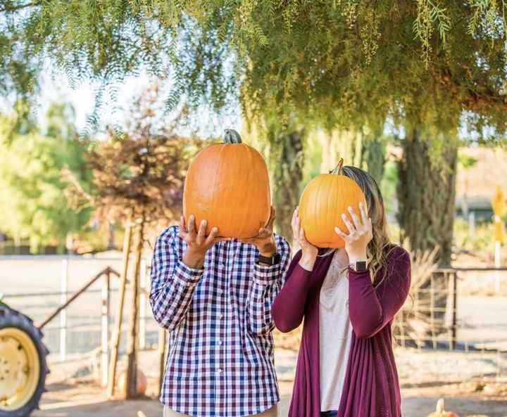 Engagement photos/help me choose for save the date(pic heavy) - 3