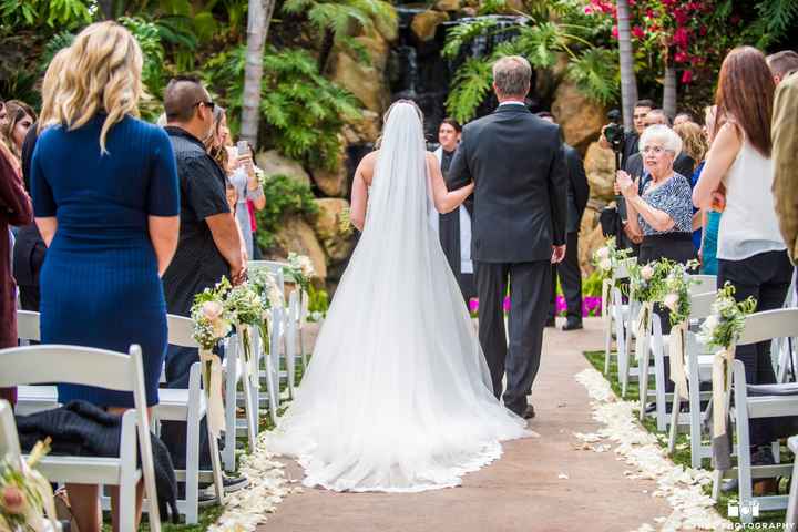 Pro Pics. My dream wedding was amazing - 10
