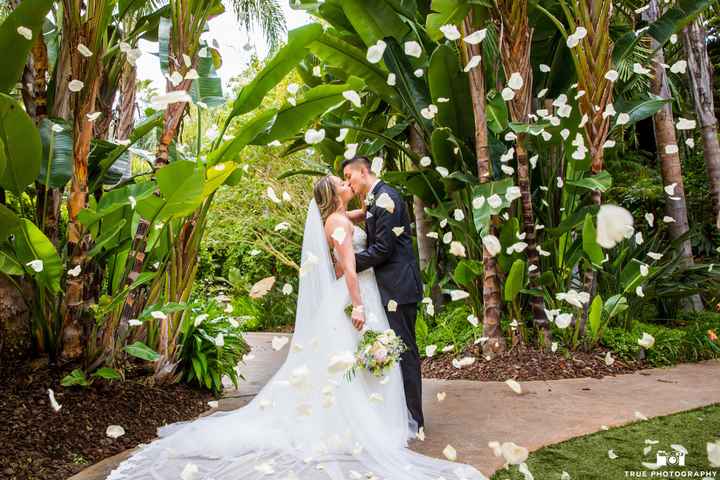 Pro Pics. My dream wedding was amazing - 14