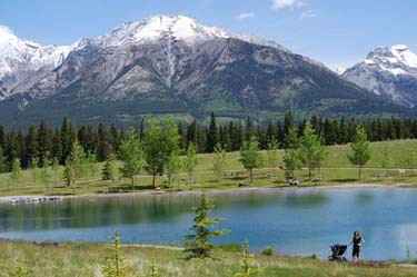 Where are you getting married?