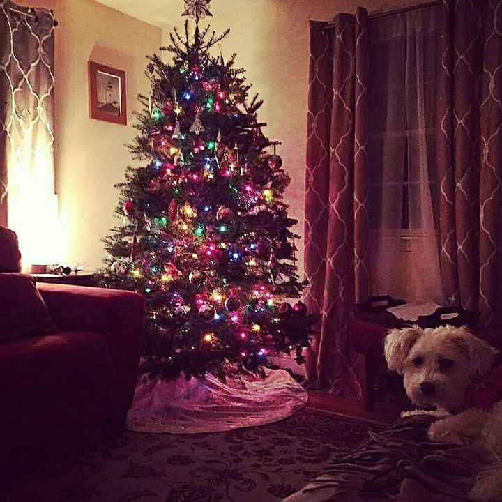 NWR: Christmas Tree