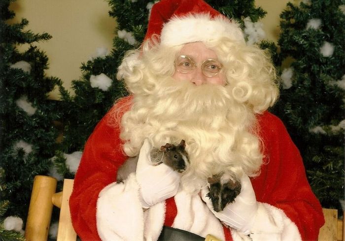NWR: Pets of WW?