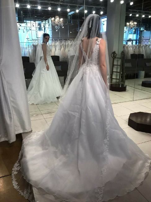 Long veils 10
