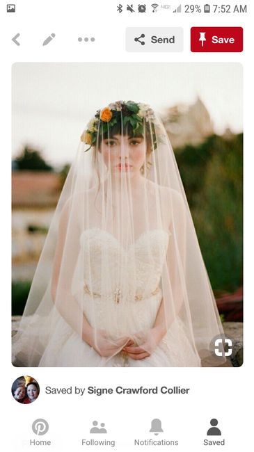 Veils? Crowns? Or Both? - 2