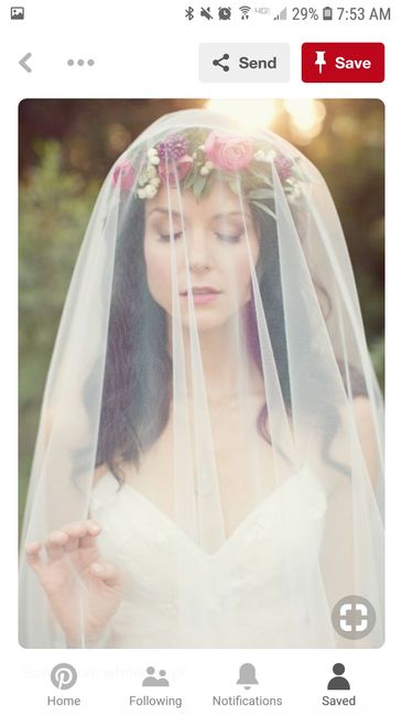 Veils? Crowns? Or Both? - 3