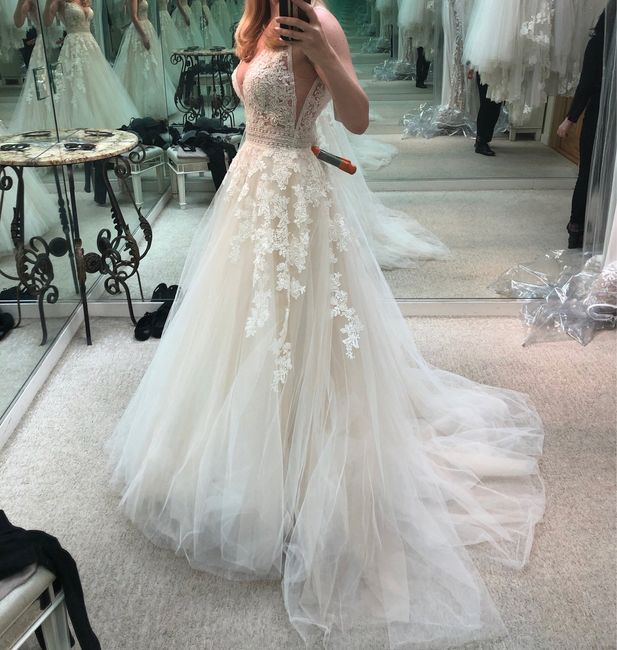 Deciding between dresses 3