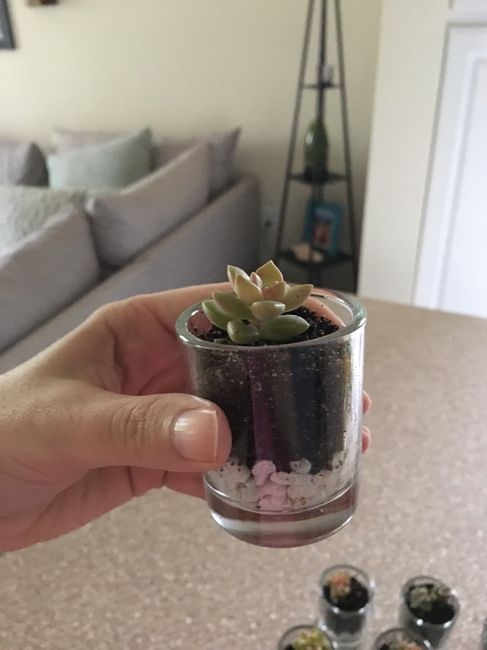Finished favors for the shower!