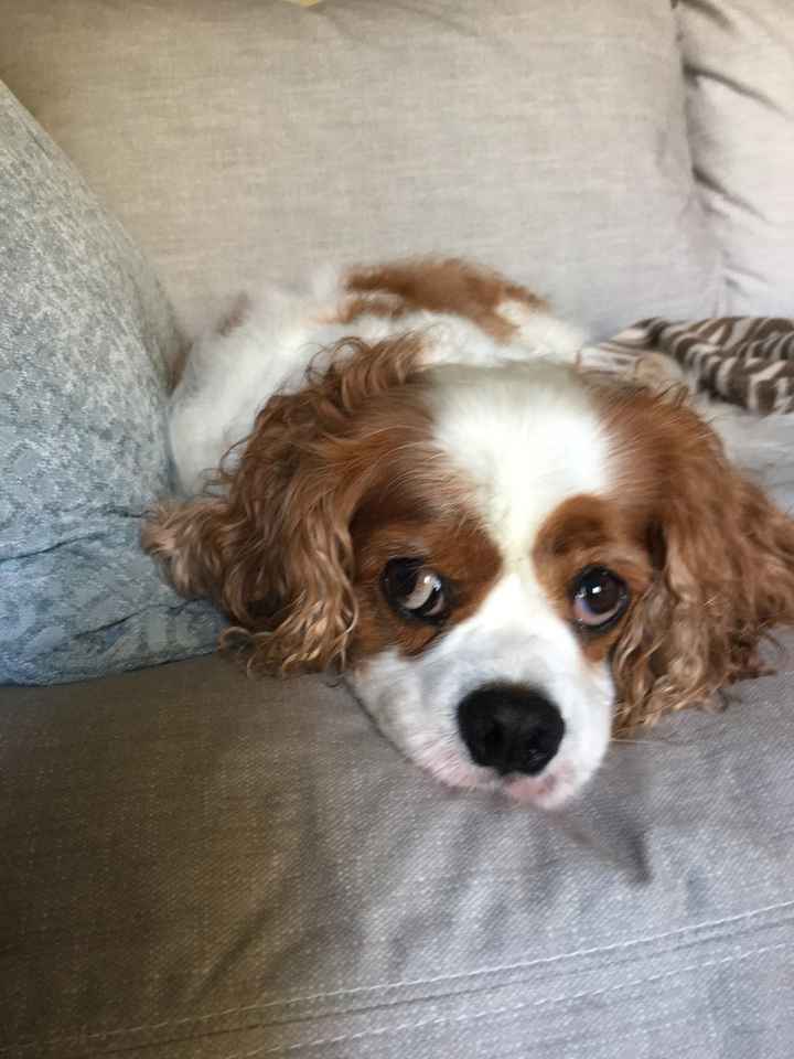 NWR: Show me your pups!