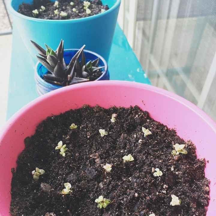 Finished favors for the shower!