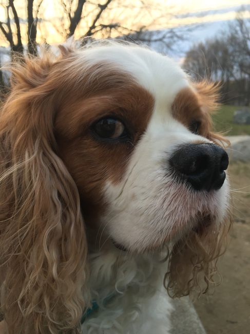 NWR: Furry Children