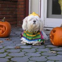 Let's see your pets!