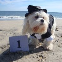 Reception Table Names?  What's yours?