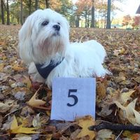 Reception Table Names?  What's yours?