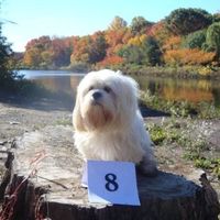 Reception Table Names?  What's yours?