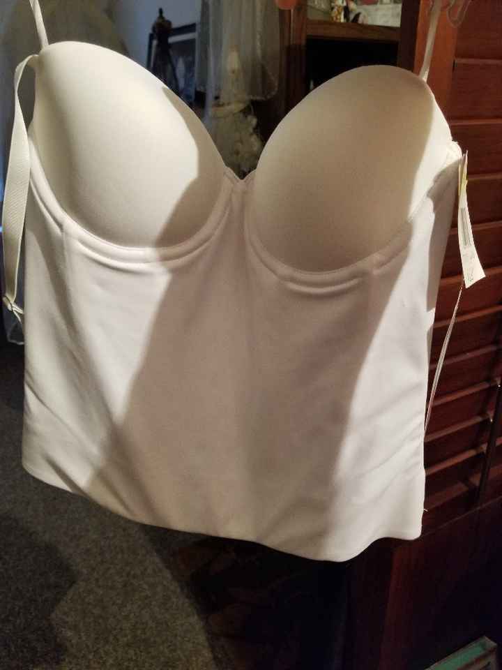 Suggest for looking for a bra/bustier. - 1