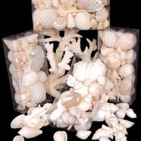 Looking for seashells