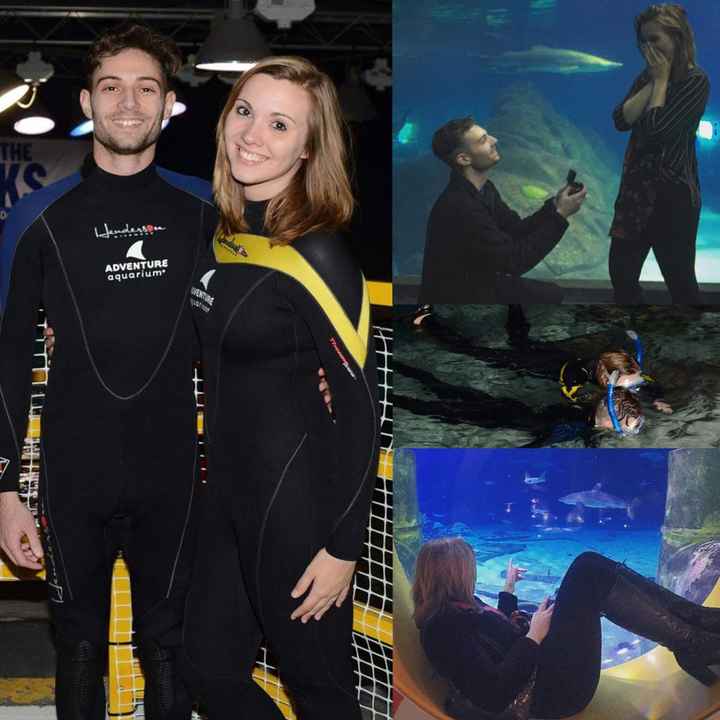 How was your proposal?