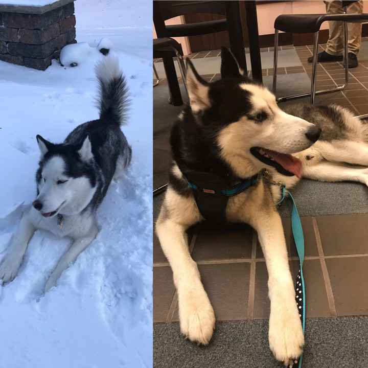 BM Drama - Need Advice