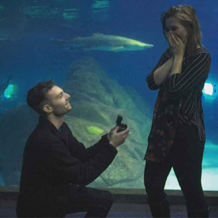 Let's see your proposal pictures!