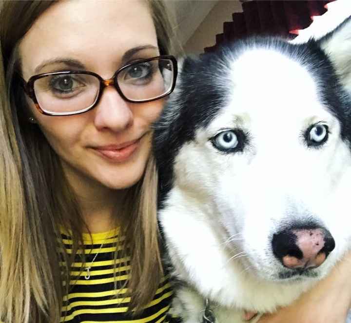 NWR: possible new dog