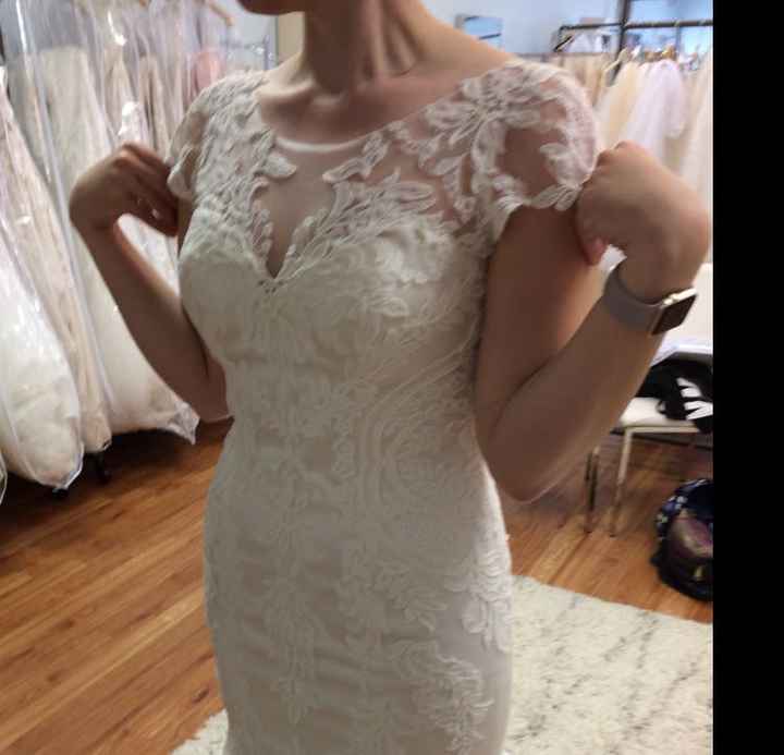  Wedding Dress Undergarments - 2