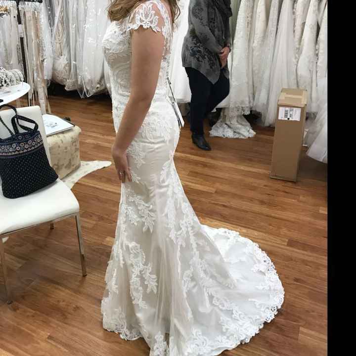  Wedding Dress Undergarments - 1