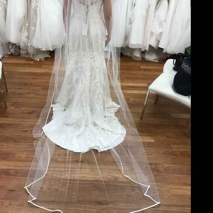  Cathedral or Fingertip Veil?? - 1