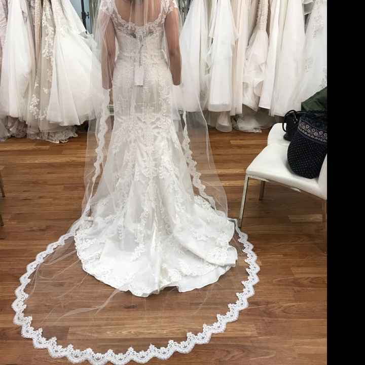  Cathedral or Fingertip Veil?? - 2