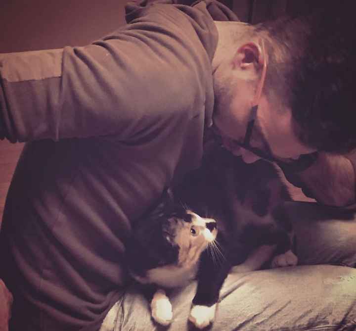 Show me your cake toppers ladies - 3