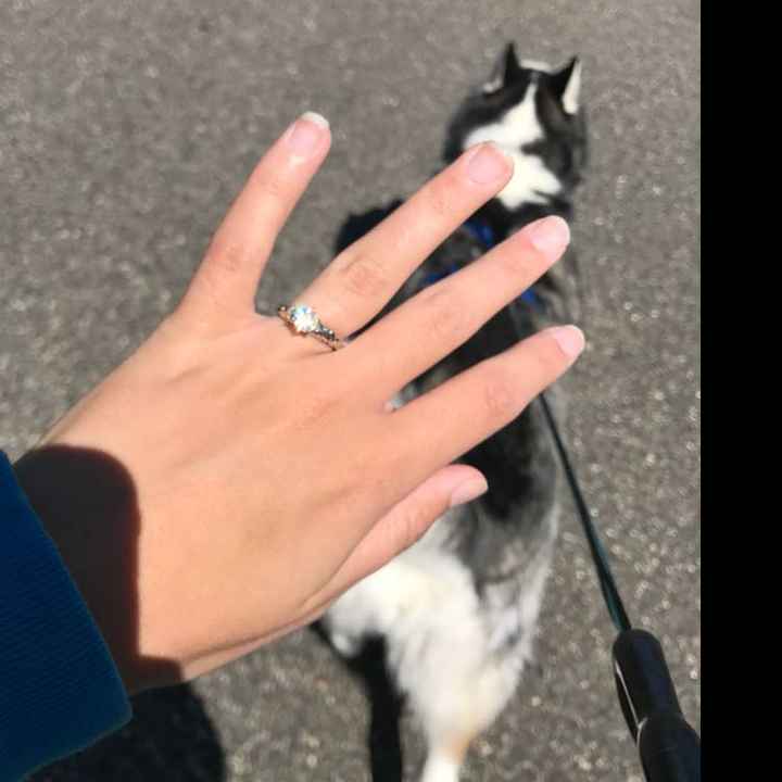 Put a Ring On it💍 - 1