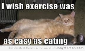 exercising brides....lets laugh (pics)