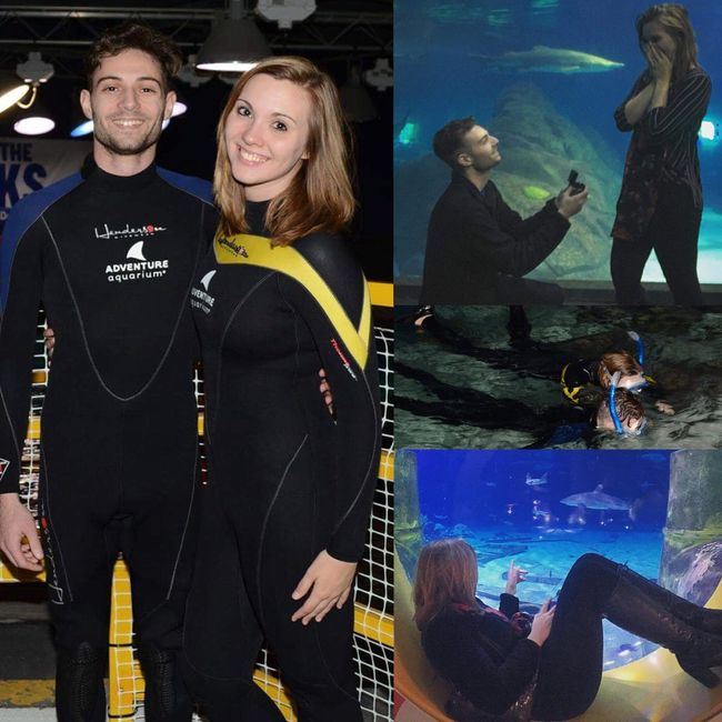 How was your proposal?