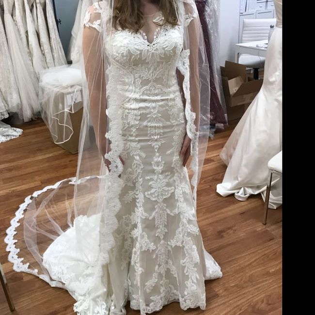  Wedding Dress Undergarments - 2