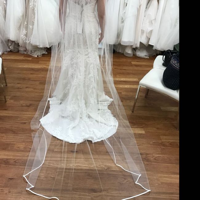  Cathedral or Fingertip Veil?? - 1