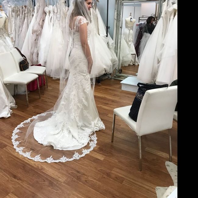 Lace dress brides! Can i see you veil?!?! 8