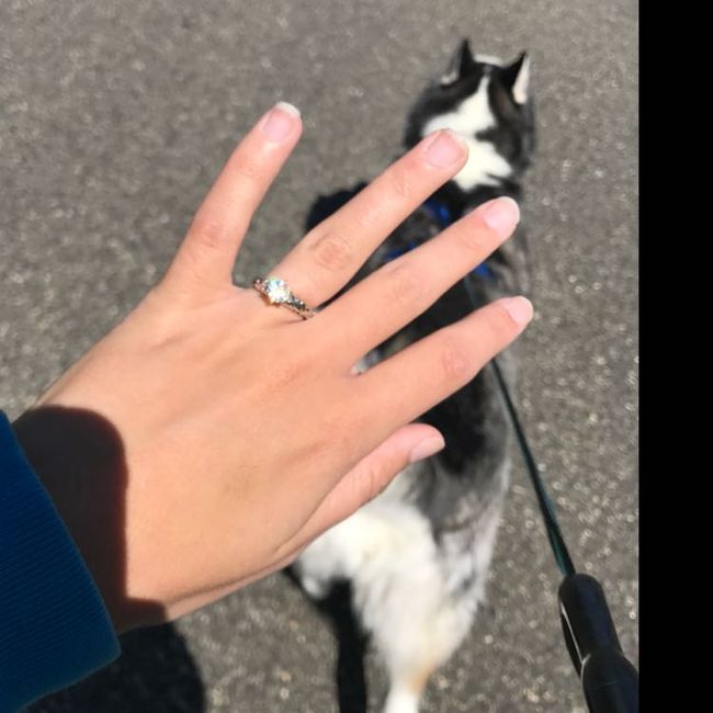 Put a Ring On it💍 - 1