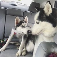 Is this weird? Has anyone else experienced this after getting married/moving out? - 1