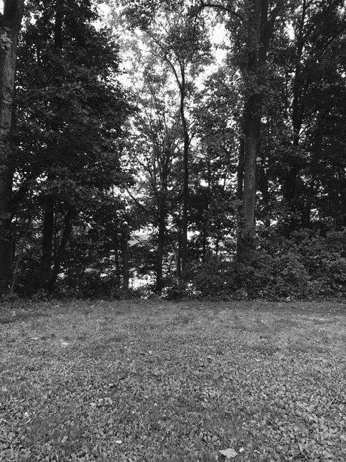 Some pics of our wedding site