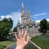 Disney World Castle With Engagement Ring
