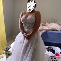 Change the straps? Or keep it as is? - 1