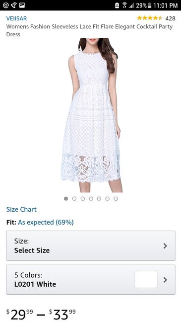 Bridal shower dress - 1