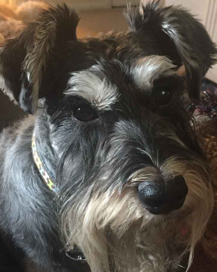 NWR: post pics of your pets!!