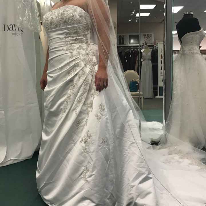 Dress size 14 - Street Size 12. Dress pics??