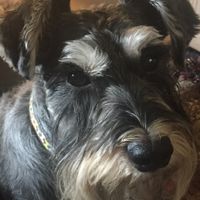 NWR: post pics of your pets!!