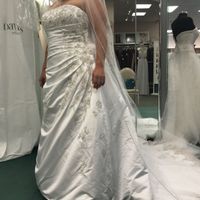 Dress size 14 - Street Size 12. Dress pics??