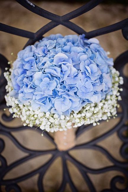 What colors are in your bouquet? - 1
