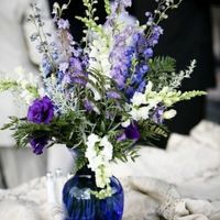 ON THE HUNT! looking for cobalt blue vases!