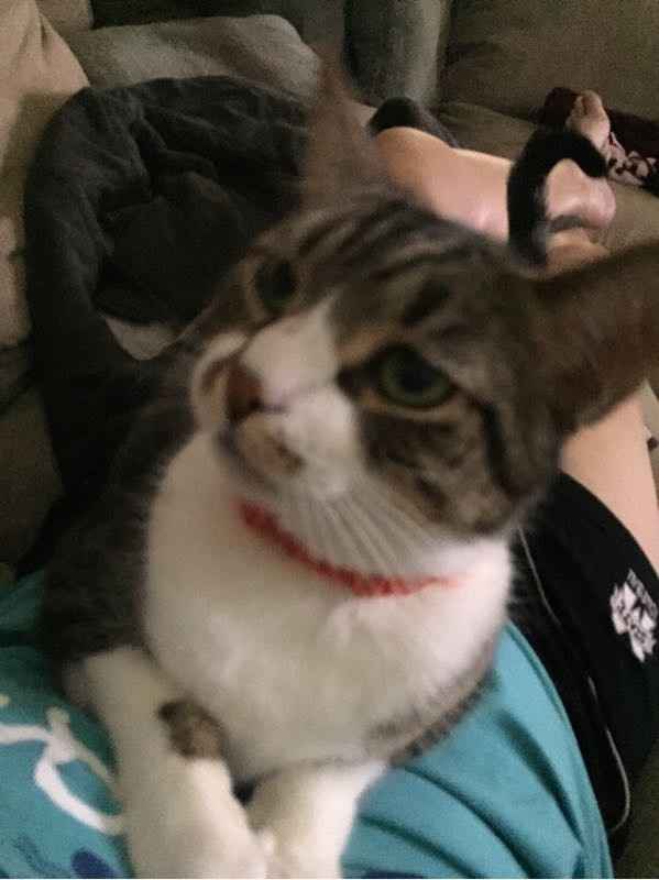 NWR- furbaby is glued to my hip