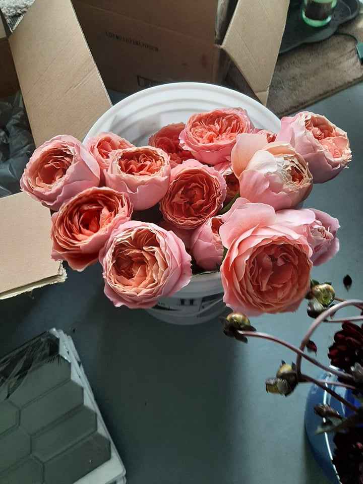 Brunch and Bubbly - Back and Showered! Pic Heavy! - 6